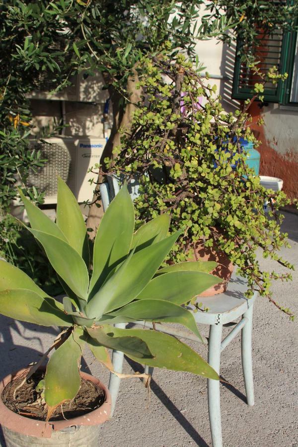 Aeroporto Bellini Rooms Catania Exterior photo